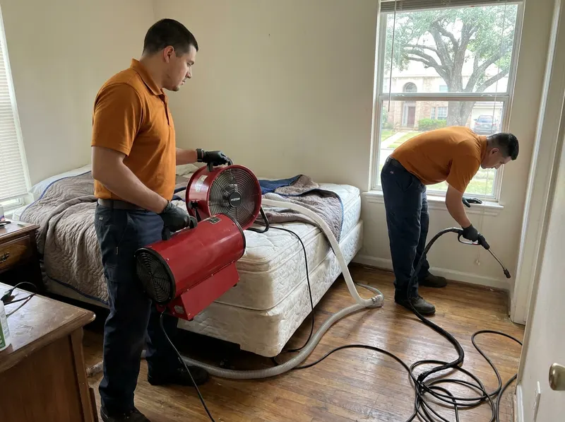 Thermal & Precision Bed Bug Remediation in Houston, TX